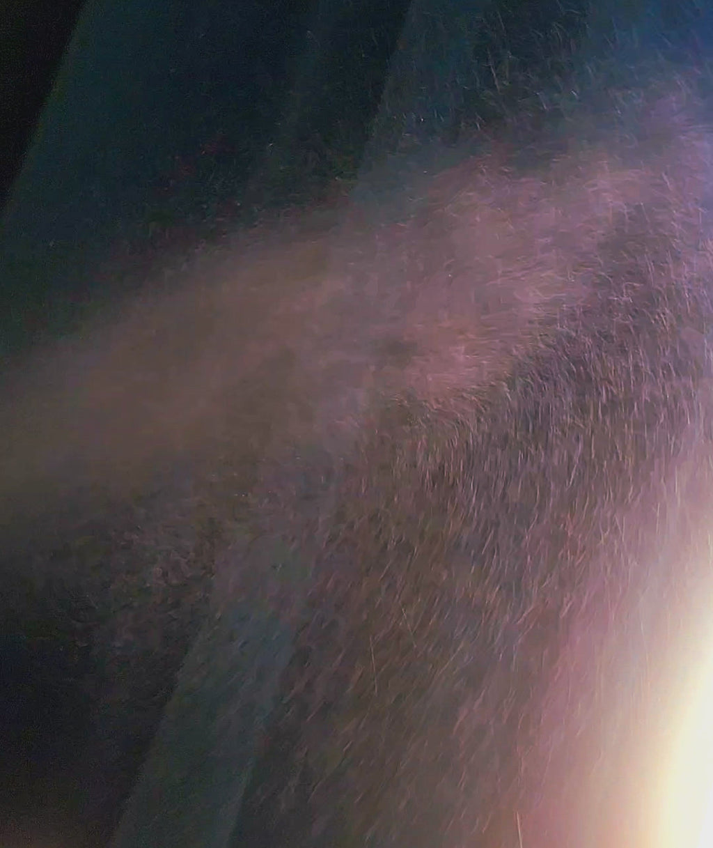 Chaga- Roasted dandelion and Frankincense Toner